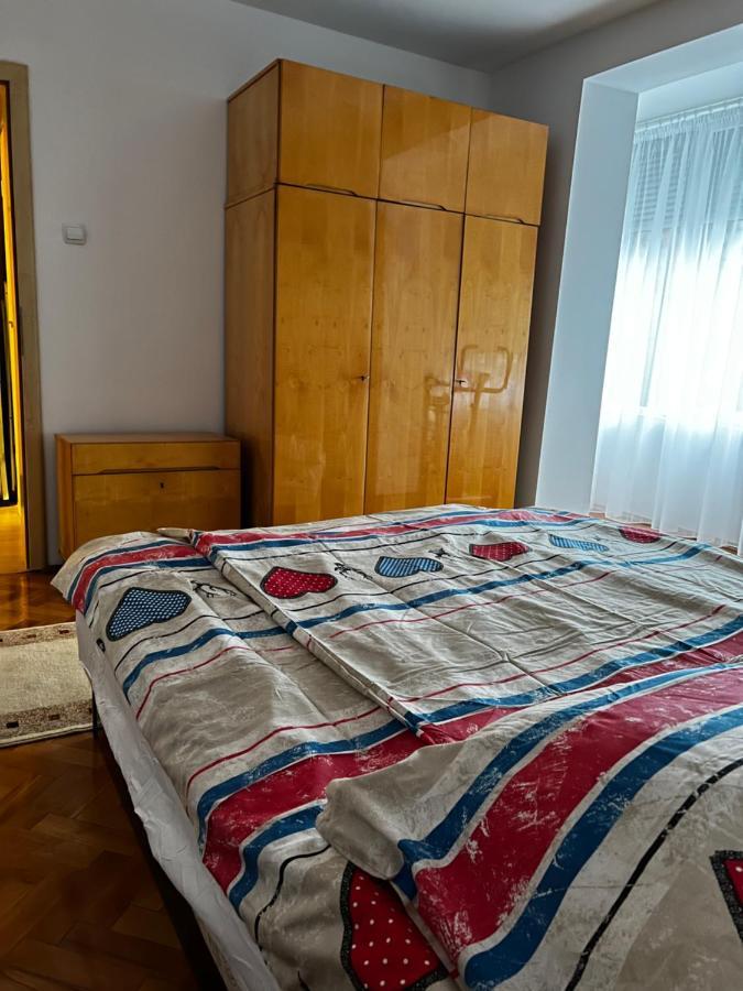 Noreea Central Apartment Timişoara Extérieur photo