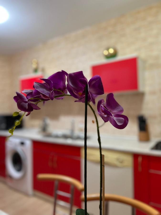 Noreea Central Apartment Timişoara Extérieur photo